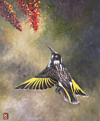 Eye On The Prize - New Holland Honeyeater by Kelly Logan