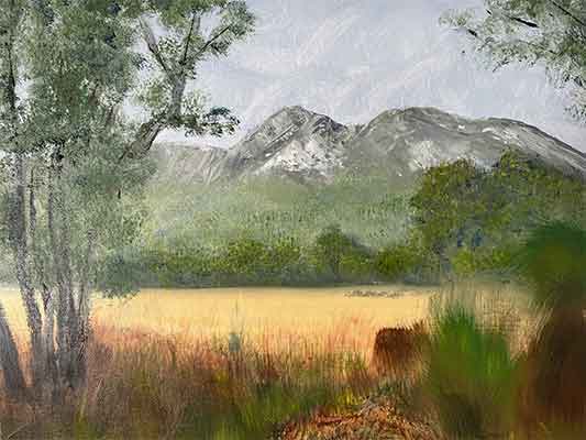 Mountain View - Andy Arnold