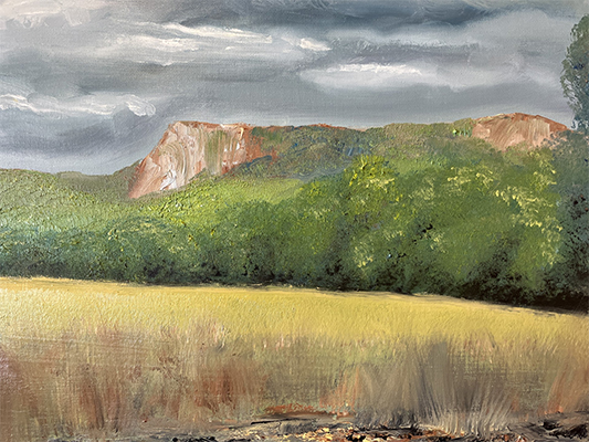 Woodlands Road - Andy Arnold