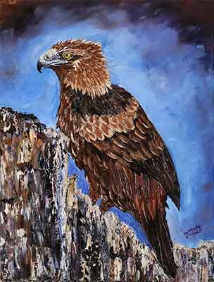 Wild Wedge-tailed Eagle - Heather Roberts