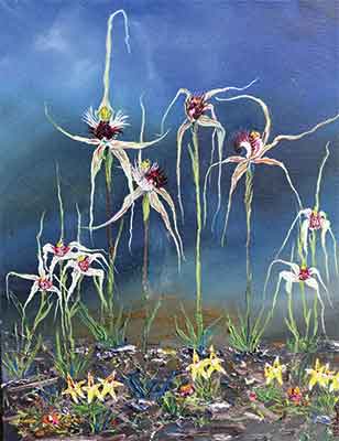 Porongurup Orchids - Heather Roberts