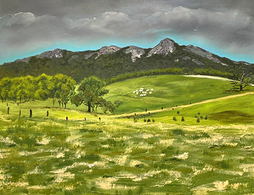 Wansbrough Walk Porongurup - Nita Clarke